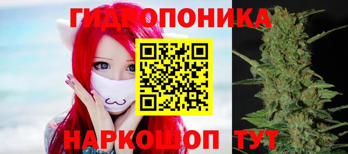 Бошки марихуана LSD WEED  Вход с VPN  Каннабис планчик  Кировск  Бошки Шишки тримм 